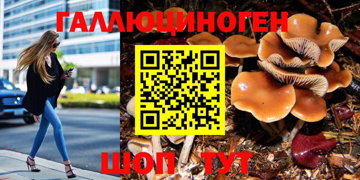 Псилоцибиновые грибы Magic Shrooms  Вход с VPN  Псилоцибиновые грибы мухоморы  Гуково 