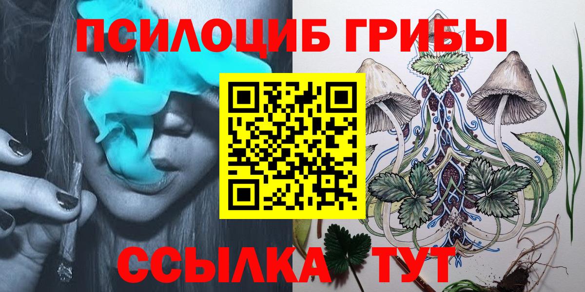 Псилоцибиновые грибы Psilocybine cubensis Гуково